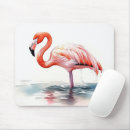 Search for florida birds mousepads Tropical
