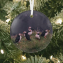 Search for puffin christmas tree decorations Wildlife