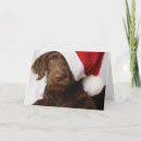 Search for small waist cards Sitting