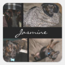 Search for dog lover stickers Modern