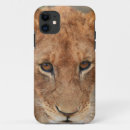 Search for lion cub iphone cases Cat