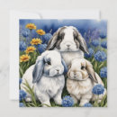 Search for lop postcards Eared