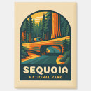 Search for sequoia national park magnets Hiking