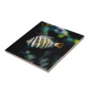 Search for aquatic tiles Nautical