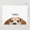 Search for funny beagle postcards Animal
