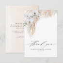 Search for dry cards Pampas grass