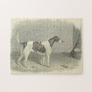 Search for broom Illustration