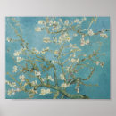 Search for almond tree posters Branches