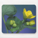 Search for spring bud mousepads Bloom