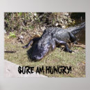 Search for alligator posters Everglades