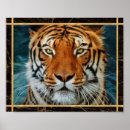 Search for blue tiger posters Wildcat