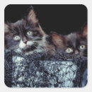 Search for container stickers Bucket