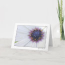 Search for centre cards Flower