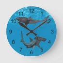 Search for shark clocks Great white shark