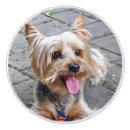 Search for dog bone knobs and pulls Canine
