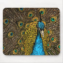 Search for bird drawing electronics Artistic