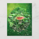 Search for fly agaric postcards Fungi