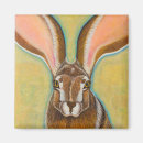 Search for jackrabbit Wildlife