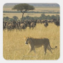 Search for reservation stickers Environment