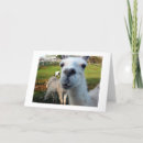 Search for goofy cards Humour