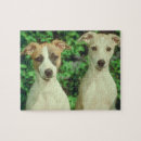 Search for for the whippet puzzles Dog