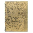 Search for leopard portrait Wildlife