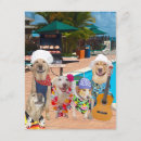 Search for funny pool party invitations Dog