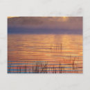 Search for adirondack postcards Cloud