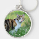 Search for brown cat key rings Nature