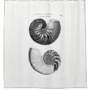 Search for nautilus shower curtains Ocean