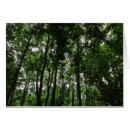 Search for canopy photography Woodland