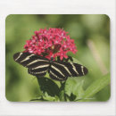 Search for zebra stripes mousepads Horizontal