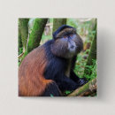 Search for wild apes badges Monkey