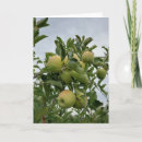 Search for apple orchard cards Autumn