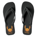 Search for crab thongs Animal