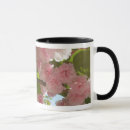 Search for cherry blossom tree mugs Floral