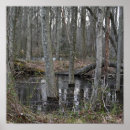 Search for flooding posters Flooded