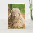 Search for goat farm cards Pun