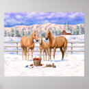 Search for palomino posters Horses