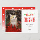 Search for animal lovers card christmas cards Kitten