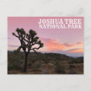 Search for california sunset postcards Joshua tree