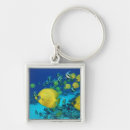 Search for school of fish key rings Swimming