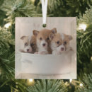 Search for corgi christmas tree decorations Canine