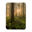 Search for fir magnets Landscape