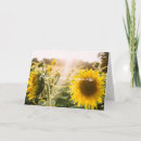 Search for sunflower quotes cards Inspirational quote