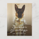 Search for dog sayings christmas cards Photography