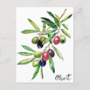 Search for mediterranean food postcards Olive