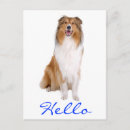 Search for collie postcards Puppies