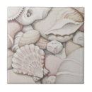 Search for scallop tiles Shells