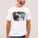 Search for hind leg Friendship